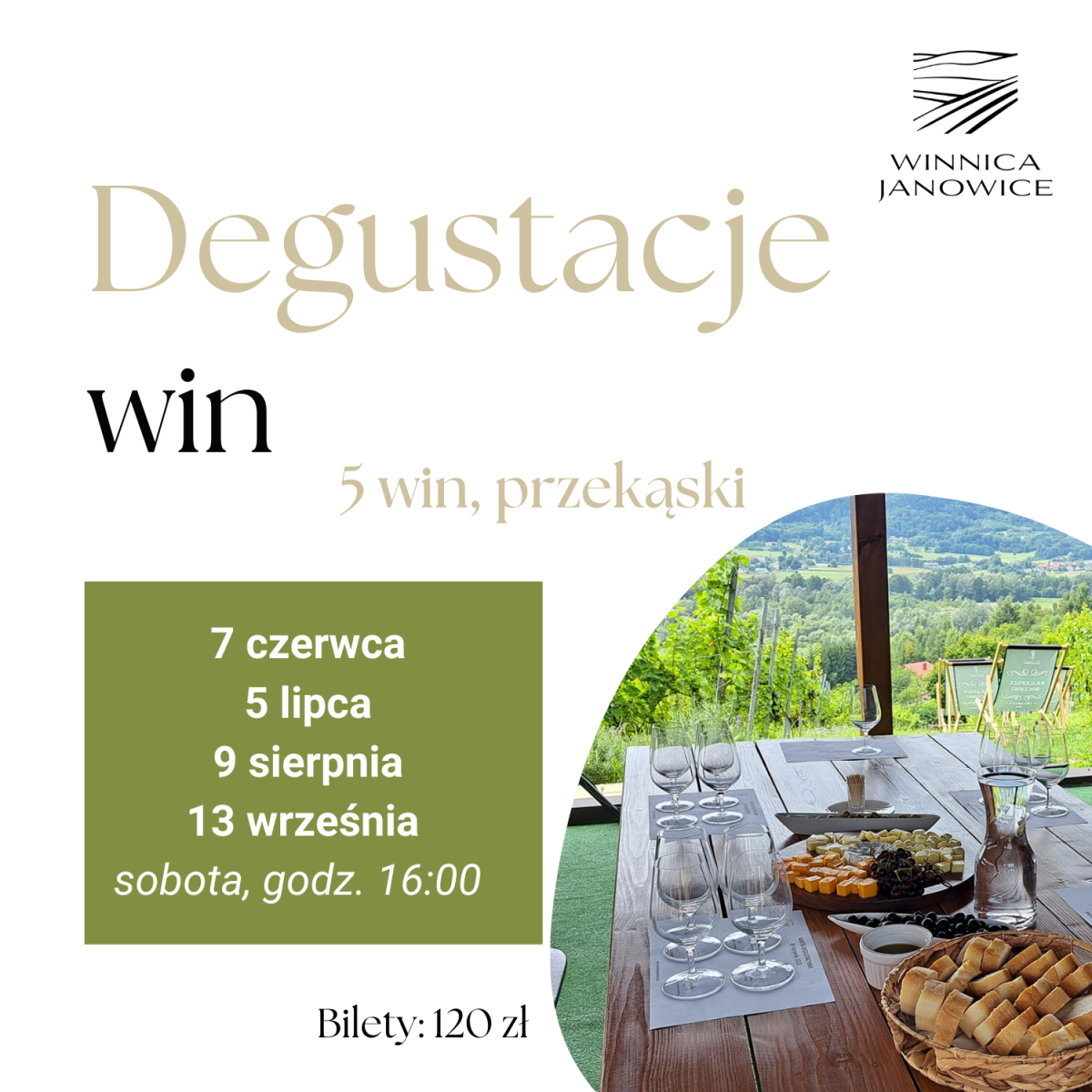 Degustacje win